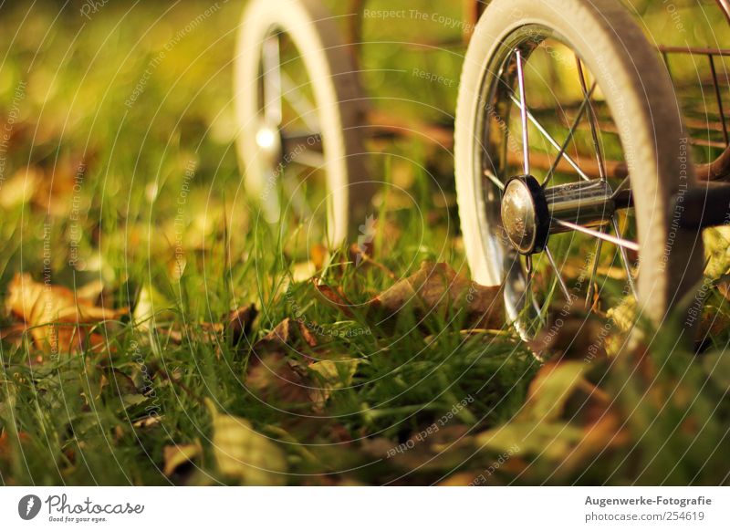 And the wheels go round 'n round Kindheit Herbst Schönes Wetter Blatt Wiese Kinderwagen drehen alt Originalität retro schön grün weiß Bewegung Farbfoto