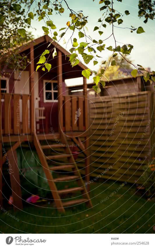 Spielhaus Freizeit & Hobby Haus Garten Kindheit Umwelt Wiese Treppe Holz klein niedlich braun Holzhaus Kindheitserinnerung Zweig Zaun Kindergarten Farbfoto