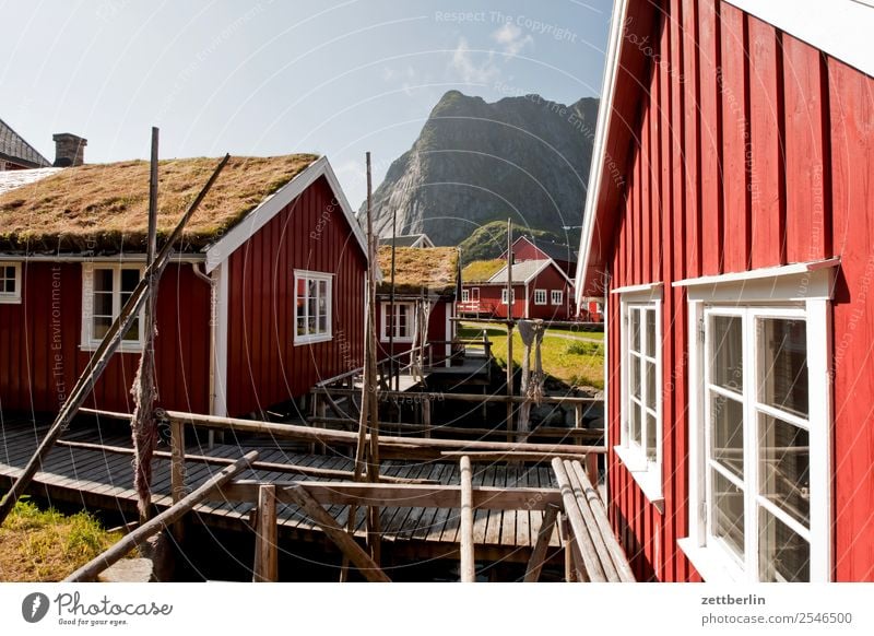 Rorbuer in Reine falunrot Fischereiwirtschaft Fischereihafen Fischerhütte maritim Natur Norwegen Reisefotografie Schweden Skandinavien Hütte Ferienwohnung