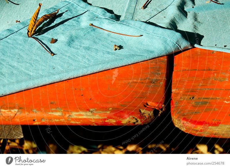 Das Sommerfest ist aus [CHAMANSÜLZ 2011] Garten Feste & Feiern Natur Herbst Schönes Wetter Blatt Herbstlaub Holz fallen dehydrieren blau grün rot Warmherzigkeit