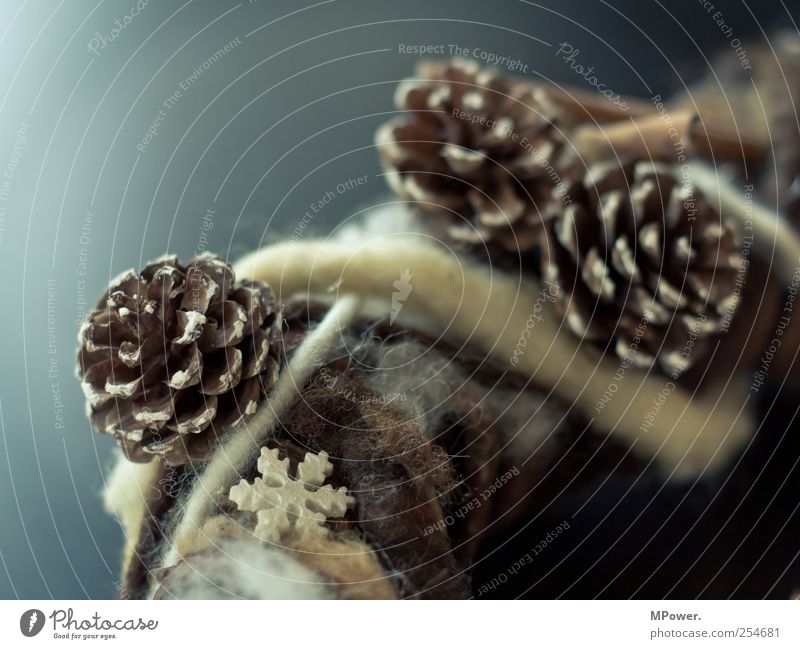 drei zapfen für aschenbrödel Natur braun Weihnachten & Advent Adventskranz Stern (Symbol) Zapfen Kranz Weihnachtsdekoration Winter Filz Zimt 3 Postkarte Schmuck