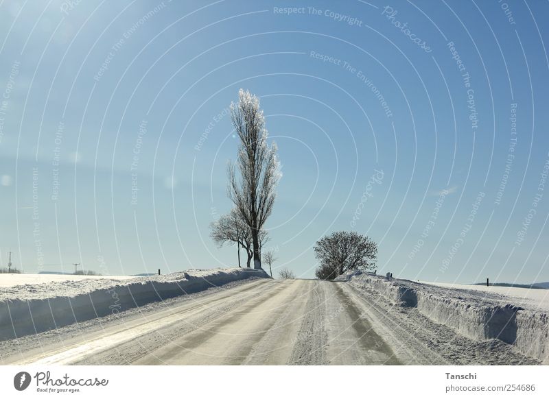 Gegensätze Landschaft Sonnenlicht Winter Schönes Wetter Eis Frost Schnee Baum Feld Menschenleer Straße fahren kalt Gelassenheit Horizont Farbfoto Außenaufnahme