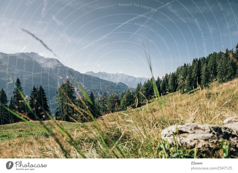 Bergpanorama im Pitztal Ferien & Urlaub & Reisen Berge u. Gebirge wandern Umwelt Natur Landschaft Sommer Schönes Wetter Feld Alpen nachhaltig natürlich blau