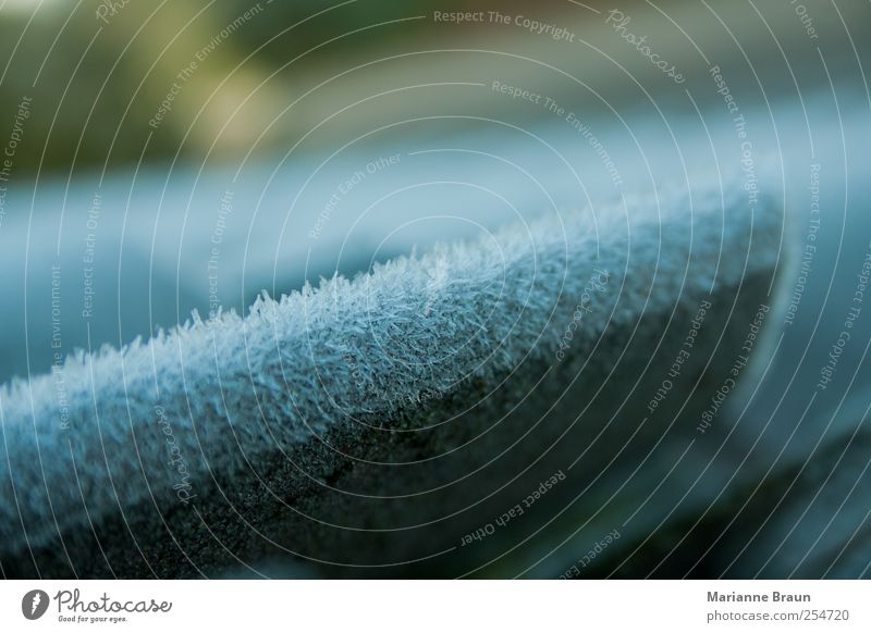 Frostkleidung 2 Dach grau weiß Eis Eiskristall Dachziegel Niederschlag Winter kalt bedeckt Strukturen & Formen Wellenform Oberfläche Oberflächenstruktur winzig