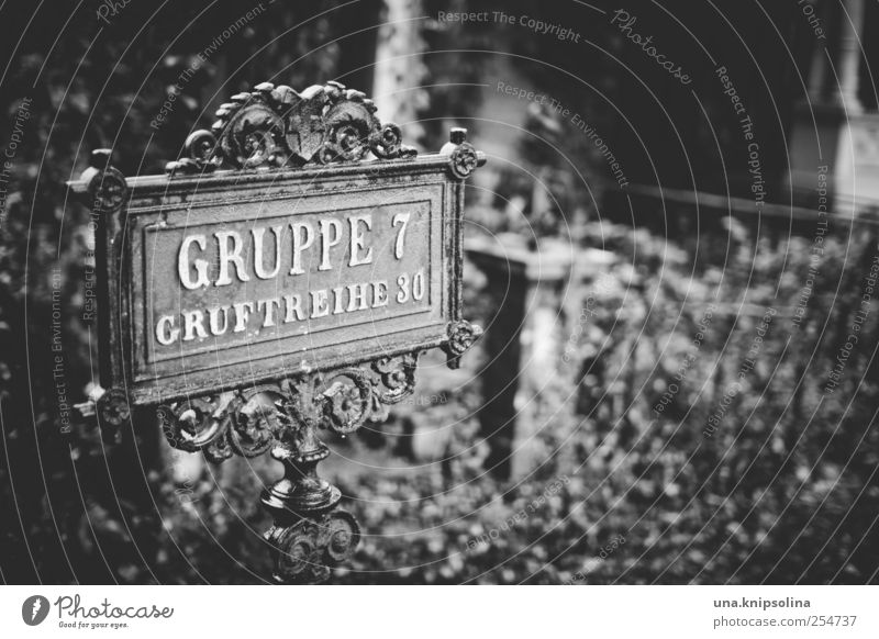 de profundis Umwelt schlechtes Wetter Regen Sträucher Efeu Park Wien Metall Schriftzeichen Ornament Schilder & Markierungen Hinweisschild Warnschild dunkel Tod