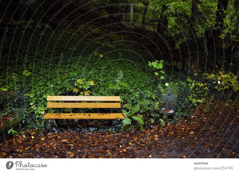 kurze pause .. Erholung ruhig Kur Umwelt Natur Herbst Park dunkel grün Einsamkeit Parkbank ausruhen Abfalleimer Bäume Wald Blatt Farbfoto Außenaufnahme