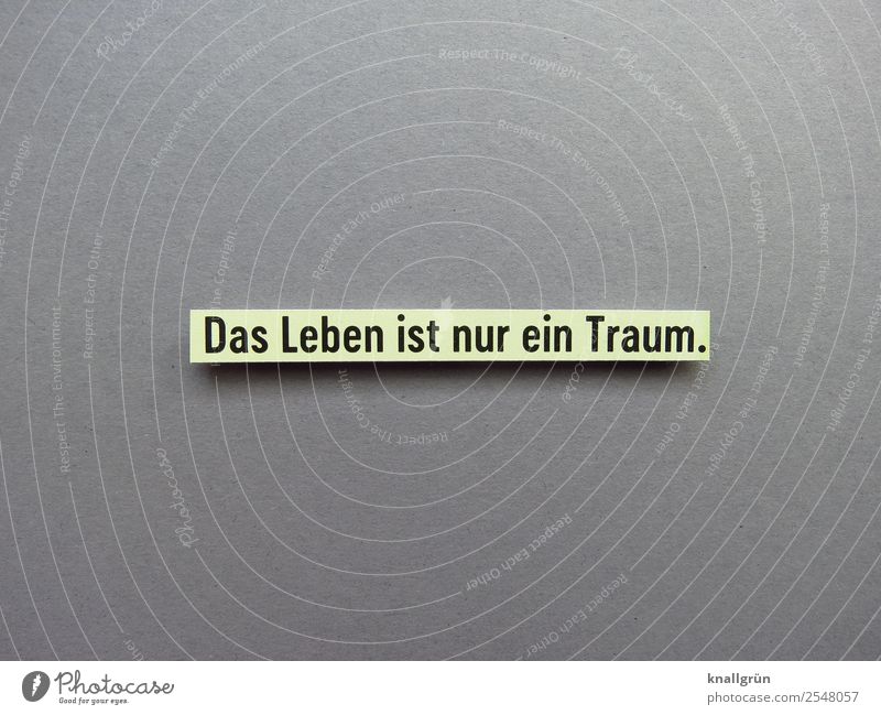 Das Leben ist nur ein Traum. Illusion subjektiv Philosophie abstrakt Erwartung Realität Objektiv irreal Wort Satz Letter Text Typographie Lateinisches Alphabet