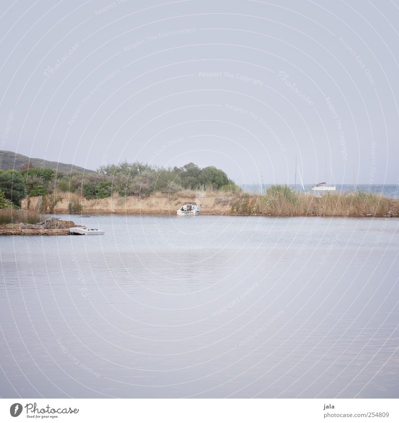 bucht Umwelt Natur Landschaft Wasser Himmel Pflanze Bucht Meer Motorboot Segelboot natürlich blau grün Farbfoto Außenaufnahme Menschenleer Textfreiraum oben