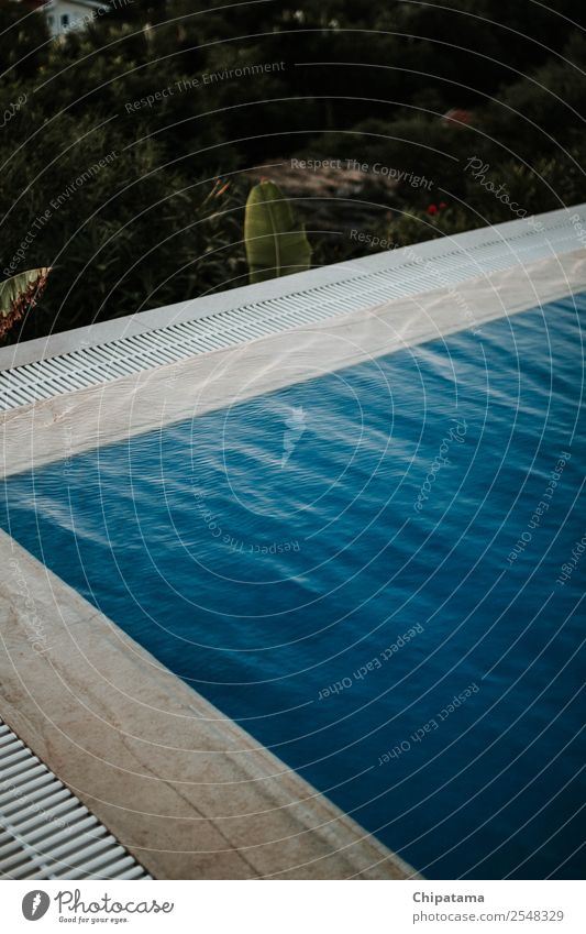 Poolrand am Sonnenuntergang Stil Kunst atmen Schwimmen & Baden genießen Ferien & Urlaub & Reisen ästhetisch Erfolg schön blau Freude Fröhlichkeit Geborgenheit