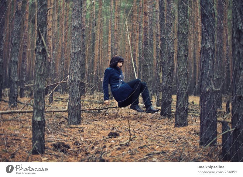 sprachschatten feminin Junge Frau Jugendliche Erwachsene 1 Mensch 18-30 Jahre Umwelt Natur Herbst schlechtes Wetter Baum Blatt Wald Mode Mantel Erholung fliegen