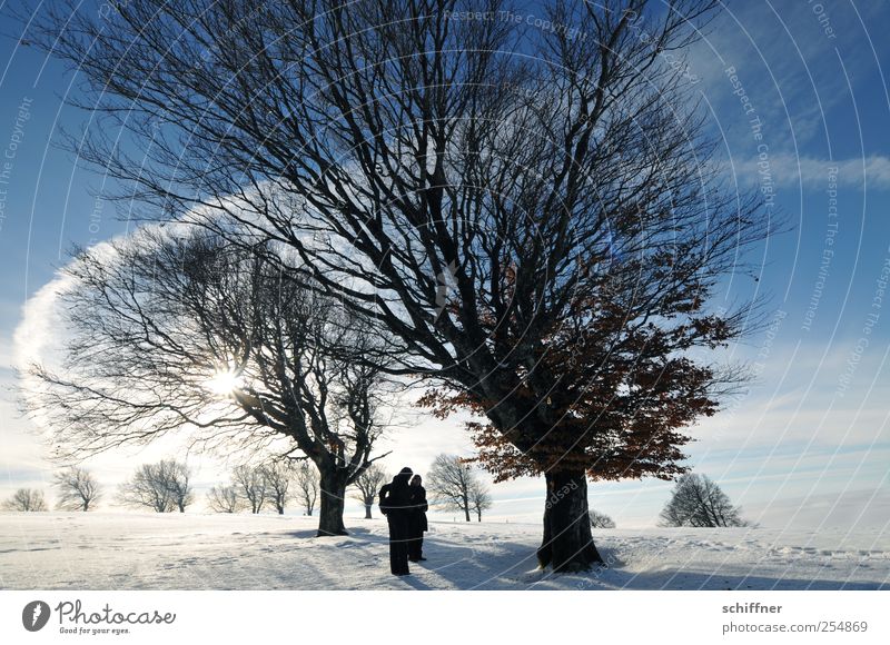 Märchen Buchen Mensch 2 Natur Landschaft Pflanze Urelemente Himmel Sonne Sonnenlicht Winter Schönes Wetter Eis Frost Schnee Baum ästhetisch außergewöhnlich kalt