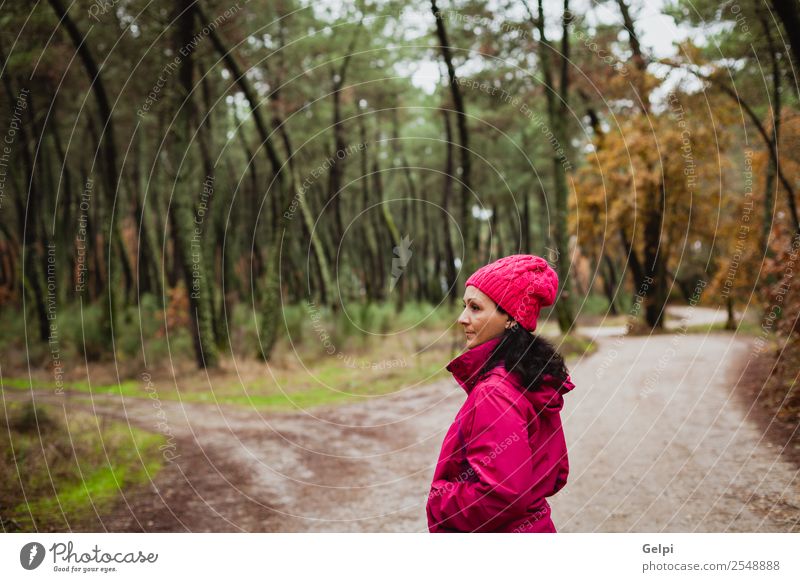 Reife Frau Lifestyle schön Freiheit Winter wandern Mensch Erwachsene Natur Herbst Baum Blatt Park Wald Wege & Pfade Mode Hut brünett lang natürlich niedlich