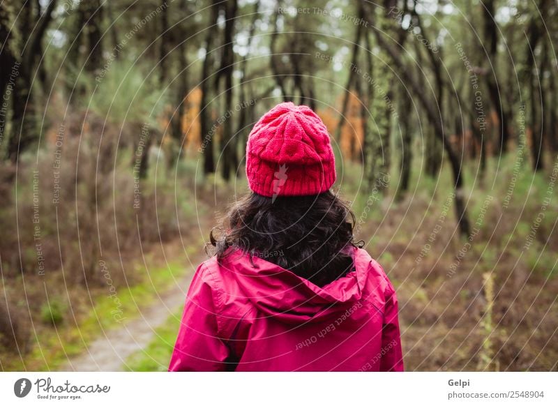 Reife Frau Lifestyle schön Gesicht Freiheit Winter Mensch Erwachsene Natur Herbst Baum Blatt Park Wald Wege & Pfade Mode Hut brünett natürlich niedlich rosa