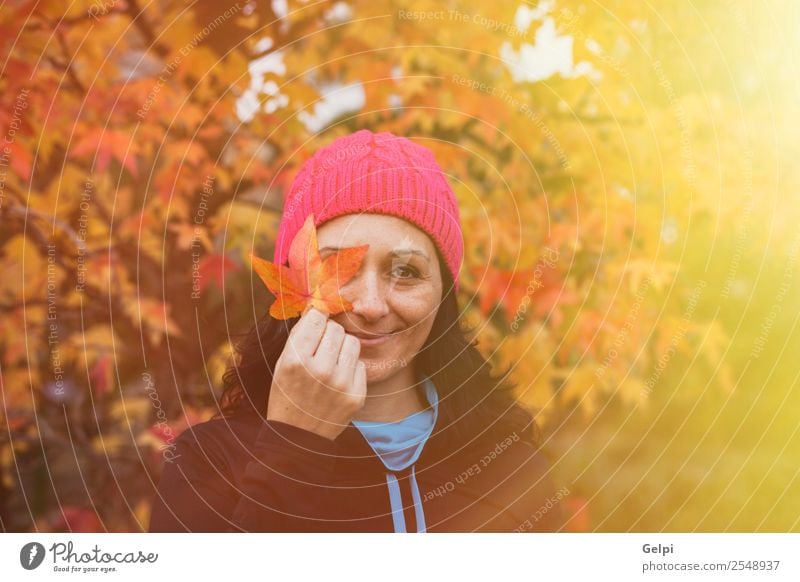 Gereifte Frau mit rosa Wollhut im Wald Lifestyle schön Gesicht Freiheit Mensch Erwachsene Natur Herbst Baum Blatt Park Mode Hut brünett lang natürlich niedlich