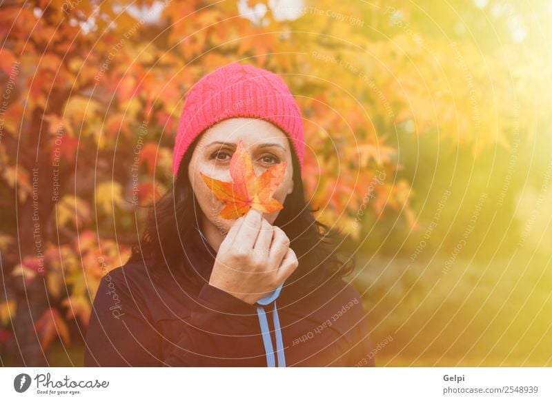 Reife Frau Lifestyle schön Gesicht Freiheit Mensch Erwachsene Natur Herbst Baum Blatt Park Wald Mode Hut brünett lang natürlich niedlich gold rosa schwarz weiß