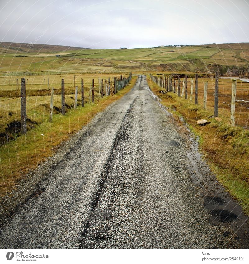 Leave in Silence Ausflug Ferne Natur Landschaft Erde Himmel Wolken Pflanze Gras Wiese Feld Hügel Republik Irland Straße grau grün gerade geradeaus Zaun