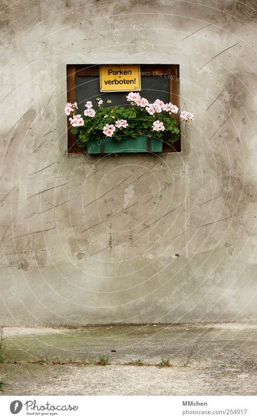 Grauzone Haus Platz Gebäude Mauer Wand Fassade Verkehrswege Dekoration & Verzierung Schilder & Markierungen Hinweisschild Warnschild grau grün rosa