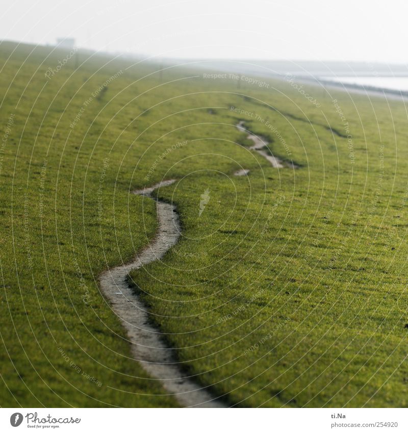 Umwege Umwelt Herbst schlechtes Wetter Gras Küste Nordsee Wattenmeer Deich Schleswig-Holstein Dithmarschen wandern grün ruhig Farbfoto Gedeckte Farben