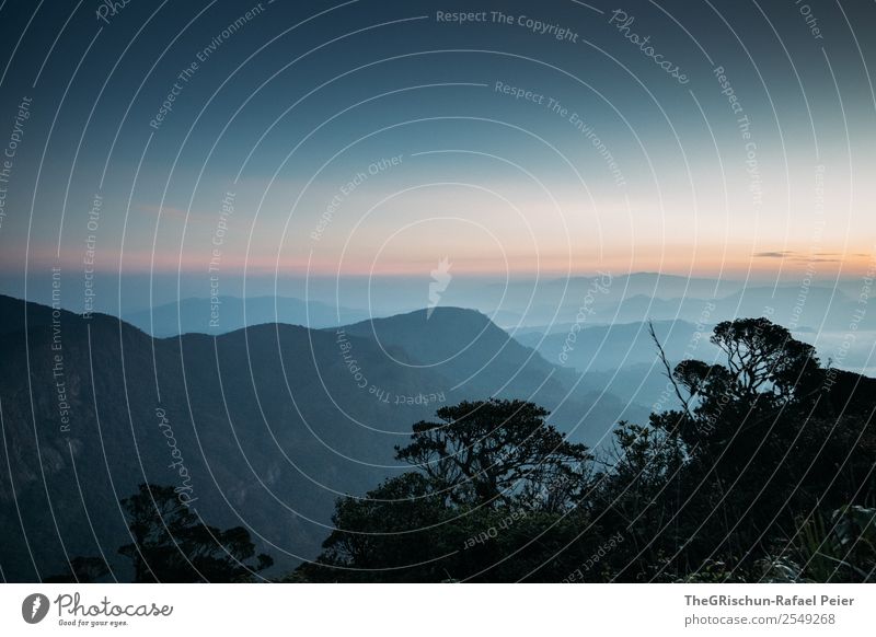 Adams Peak - Sunrise Natur blau grün orange rosa Adam's peak Sri Lanka Pilger Berge u. Gebirge Aussicht Sonnenaufgang Baum Stimmung Tourismus Reisefotografie