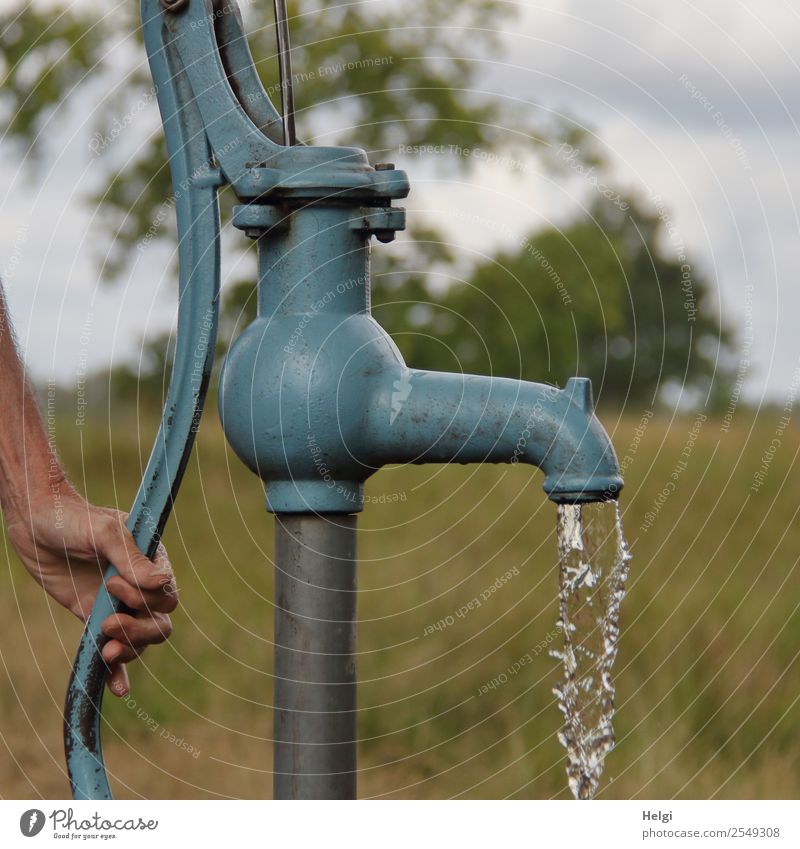 Wasser marsch ... Hand Finger Umwelt Natur Landschaft Pflanze Himmel Sommer Baum Gras Moor Sumpf Pumpe Handpumpe Metall Bewegung authentisch außergewöhnlich