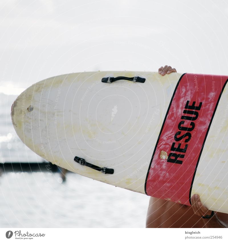 Rescue Sommer Sommerurlaub Strand Meer Sport Surfen Surfer Rettungsschwimmer maskulin 1 Mensch Surfbrett muskulös rot weiß Farbfoto Gedeckte Farben