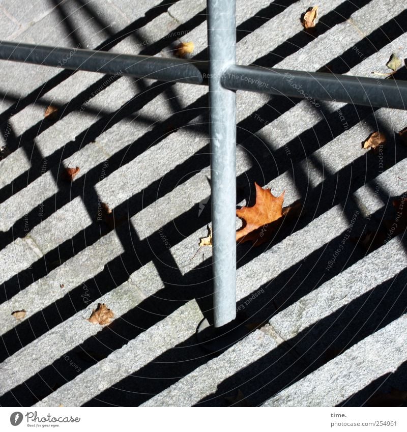 Treppenwitz | ChamanSülz Herbst Blatt Metall grau Treppengeländer Ahorn Ahornblatt Metallwaren diagonal Stufen Stab Halt Farbfoto Außenaufnahme Muster