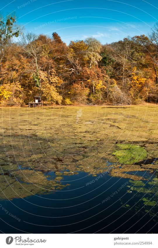 der große farbtopf Umwelt Natur Landschaft Pflanze Wasser Himmel Herbst Schönes Wetter Baum Küste See Erholung natürlich schön blau braun mehrfarbig