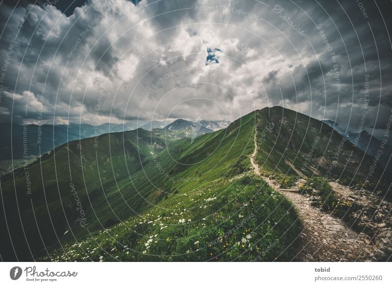 Alpengipfel mit Wolken Natur Landschaft Pflanze Himmel Gewitterwolken Horizont Wetter schlechtes Wetter Gras Sträucher Wiese Hügel Felsen Berge u. Gebirge