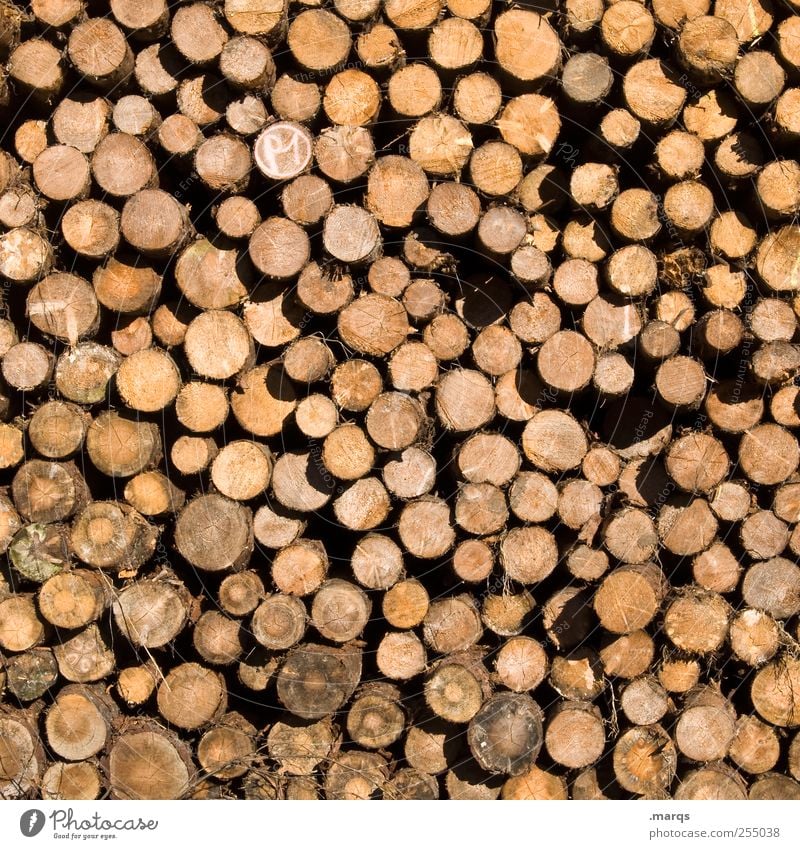 Holz Holzfäller Waldarbeiter Umwelt Klimawandel viele Abholzung Stapel Baumstamm Waldsterben Vorrat Brennholz Ordnung Forstwirtschaft Holzhacken anzünden