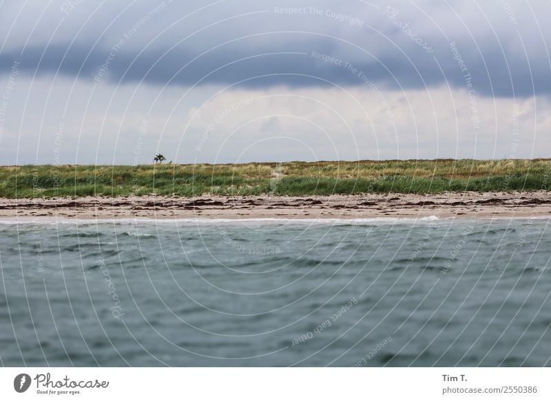 Hiddensee Segeln Umwelt Natur Landschaft Pflanze Urelemente Wasser Himmel Gewitterwolken Sommer Wellen Küste Ostsee Meer Insel Ferien & Urlaub & Reisen Horizont