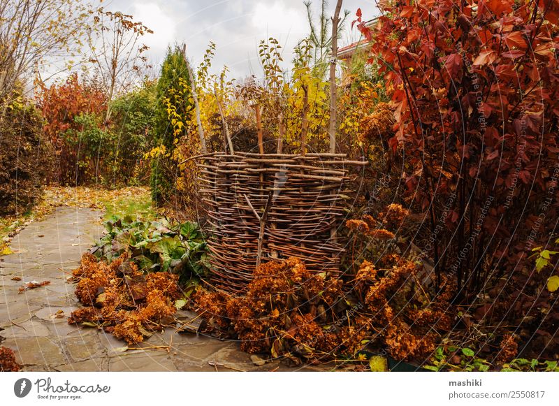 Spaziergang im Novembergarten Freizeit & Hobby Garten Natur Landschaft Wolken Herbst Sträucher Blatt Stein braun Farbe Oktober fallen Jahreszeiten marmorieren