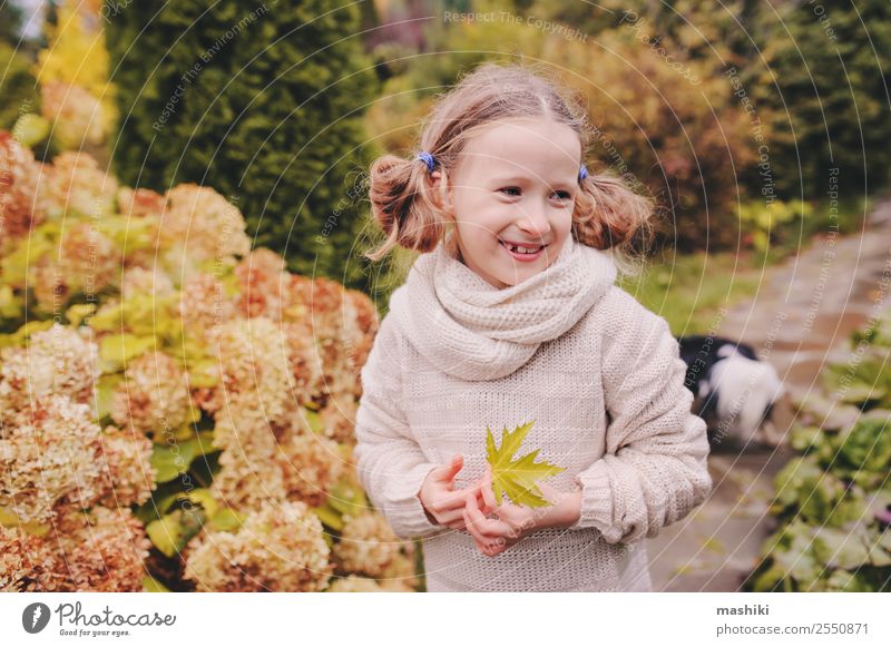 Kind Mädchen, das Ende Oktober oder November im Garten spazieren geht. Lifestyle Freude Ferien & Urlaub & Reisen Natur Herbst Blume Blatt Lächeln lustig