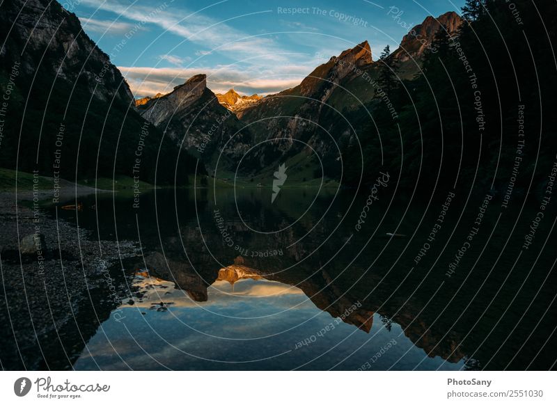 Seealpsee im Sonnenaufgang Alpen Schweiz Schweizeralpen Appenzellerland Spiegelung Morgendämmerung Morgenstimmung Berge u. Gebirge Bergsee