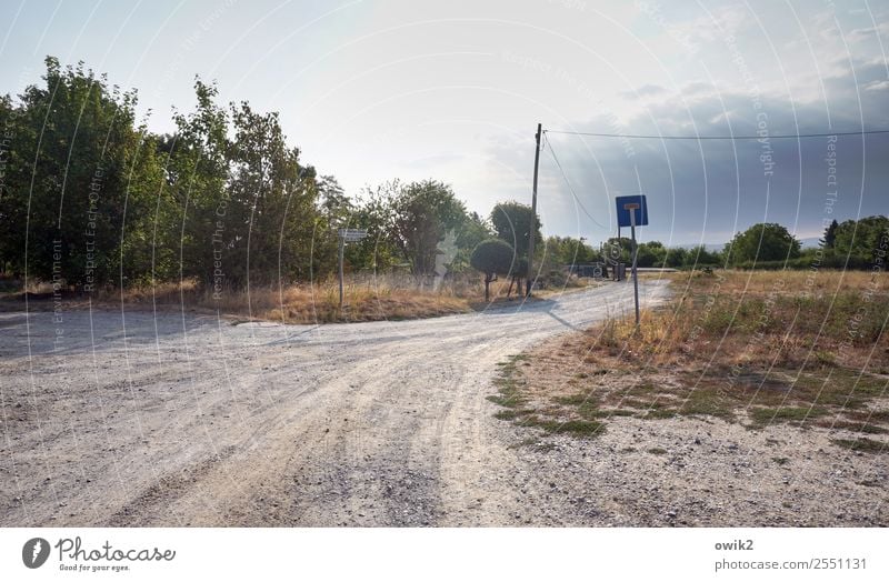 Droha Umwelt Natur Landschaft Himmel Wolken Horizont Schönes Wetter Baum Gras Sträucher Bautzen Lausitz Deutschland Wege & Pfade Verkehrszeichen trist trocken