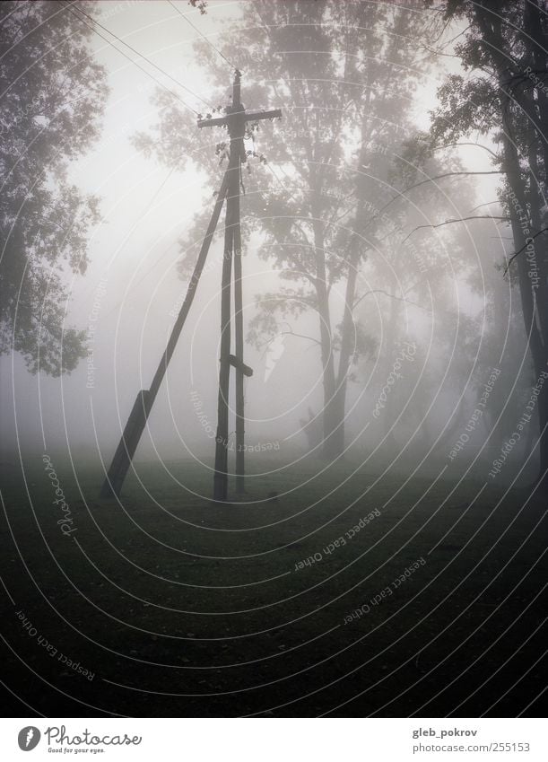 Doc #foggen Natur Herbst Klima Nebel Feld ga645pro gleb pokrov Farbfoto Außenaufnahme Menschenleer Freisteller Hintergrund neutral Morgen Licht Schatten