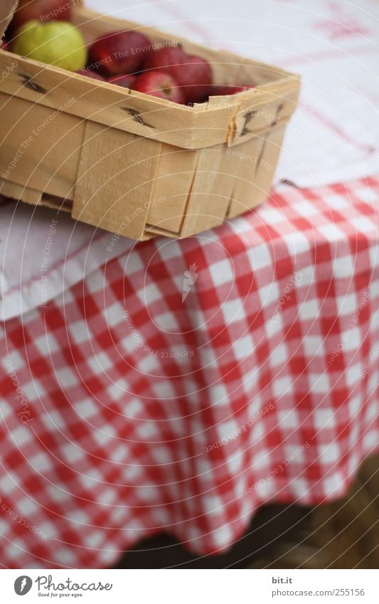 Bauernäpfel in Kipplage Lebensmittel Frucht Apfel Ernährung Lifestyle Wohnung Küche rund saftig rot Gesundheit Apfelernte Spankorb Korb kariert