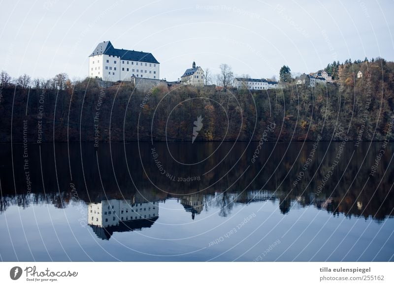 spiegelei Baum Seeufer Wahrzeichen alt ruhig Altertum Berghang Wasseroberfläche Idylle Farbfoto Außenaufnahme Reflexion & Spiegelung Burg oder Schloss