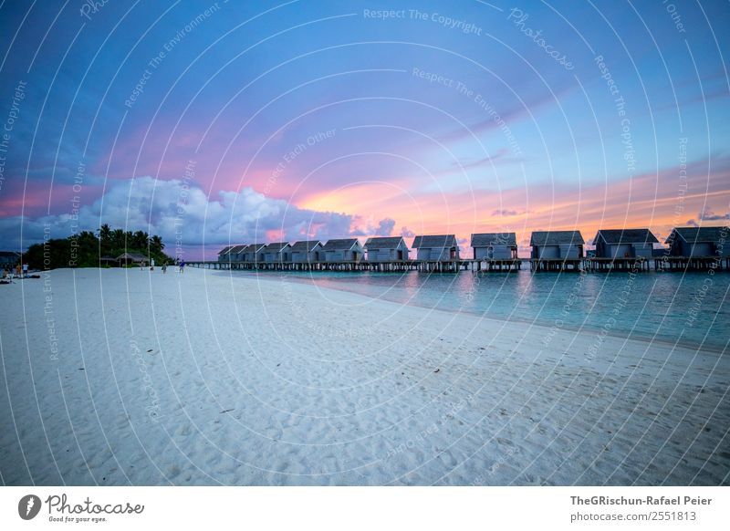 Sonnenuntergang Landschaft blau gelb violett orange rosa weiß Romantik Malediven Haus Meer Strand Wolken Palme Sand Spaziergang Wasser Wärme Aussicht Stimmung