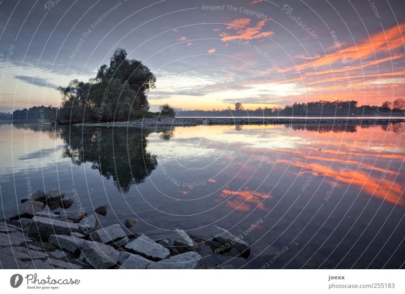 Alte Ufer Natur Landschaft Wasser Himmel Wolken Horizont Sonnenaufgang Sonnenuntergang Sommer Schönes Wetter Baum Seeufer Flussufer Stein blau gelb violett rot