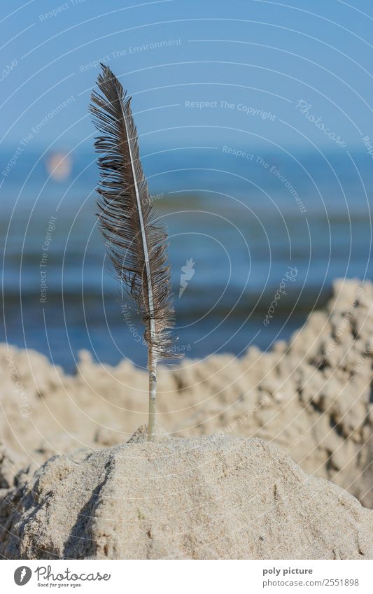 Sandburgmit Feder am Strand Freizeit & Hobby Spielen Ferien & Urlaub & Reisen Tourismus Ausflug Sommer Sommerurlaub Sonne Sonnenbad Himmel Wolkenloser Himmel