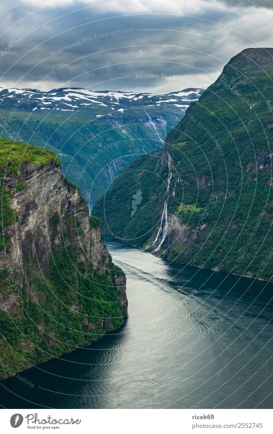 Blick auf den Geirangerfjord in Norwegen Erholung Ferien & Urlaub & Reisen Tourismus Kreuzfahrt Berge u. Gebirge Natur Landschaft Wasser Wolken Baum Felsen