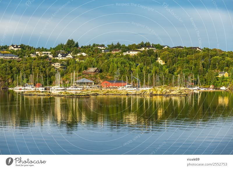 Blick auf die Stadt Bergen in Norwegen Erholung Ferien & Urlaub & Reisen Tourismus Meer Berge u. Gebirge Haus Natur Landschaft Wasser Baum Hafen Gebäude