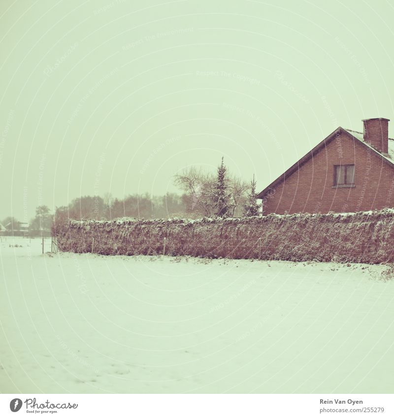 Winterhaus Umwelt Natur Landschaft Schnee Haus Stimmung Gelassenheit ruhig weiß Gedeckte Farben Außenaufnahme Menschenleer Textfreiraum rechts