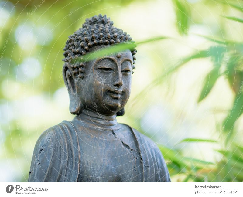 Buddah im Zengarten Lifestyle Design Glück Gesundheit Wellness harmonisch Wohlgefühl Zufriedenheit Sinnesorgane Erholung ruhig Meditation Tourismus Freiheit