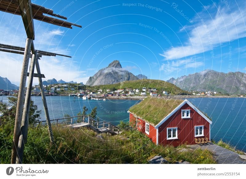 Reinebringen Balken Dorsch dörrfisch Felsen Ferien & Urlaub & Reisen Fisch Fischereiwirtschaft Gestell Hafen Himmel Himmel (Jenseits) Haus Ferienhaus Rorbuer