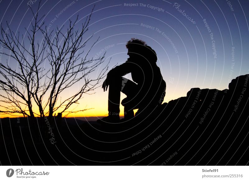 und jetzt warten... Ferne maskulin 1 Mensch Landschaft Himmel Horizont Sonne Sonnenaufgang Sonnenuntergang Baum Denken sitzen Gefühle Sehnsucht Einsamkeit