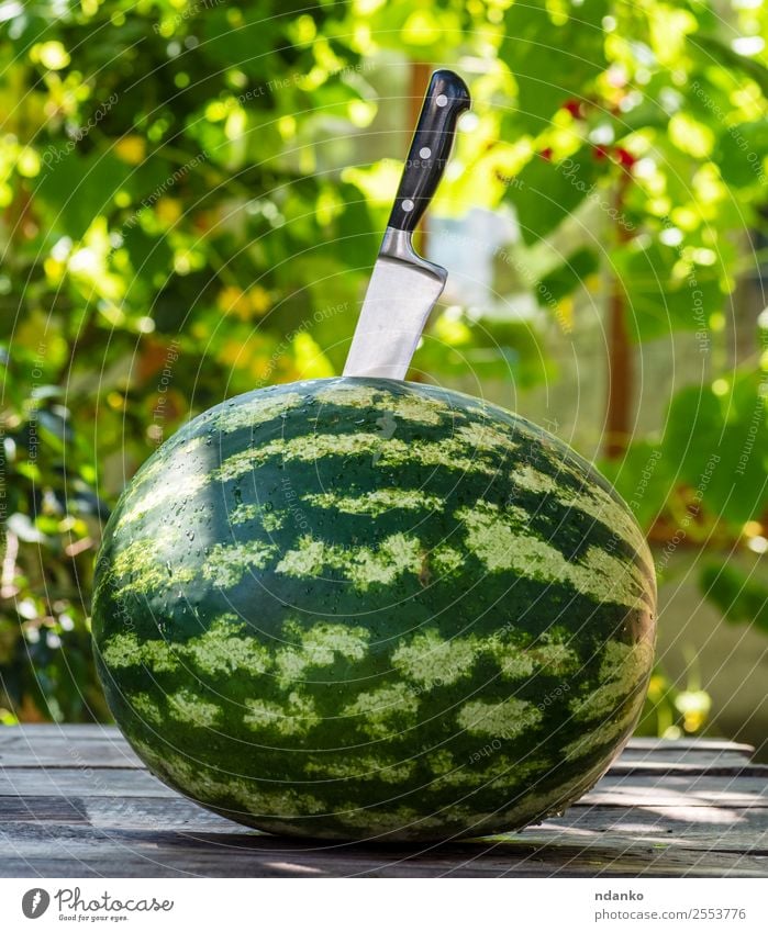 grüne runde Wassermelone Frucht Dessert Ernährung Vegetarische Ernährung Diät Messer Sommer Natur Essen frisch lecker natürlich saftig Farbe Beeren Lebensmittel