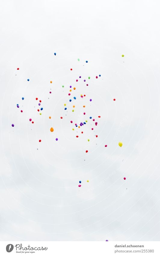 Für dich solls bunte Bilder regnen #1 Feste & Feiern Geburtstag Luftballon hell mehrfarbig weiß fliegen Schweben Textfreiraum oben Textfreiraum unten