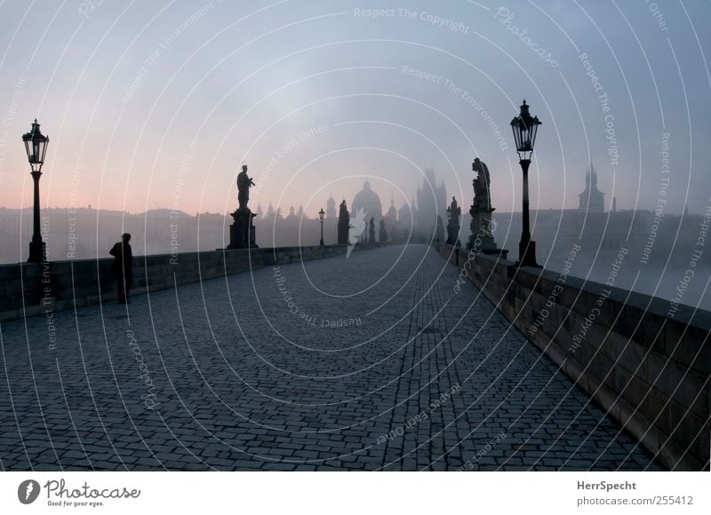 Nebelmorgen Mensch 1 Prag Tschechien Hauptstadt Altstadt Brücke Sehenswürdigkeit Wahrzeichen Denkmal Karlsbrücke alt ästhetisch bedrohlich schön blau grau