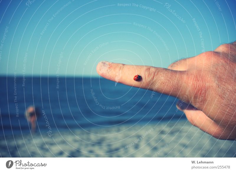 Für Dich solls bunte Bilder regnen! Natur Sand Wasser Ostsee außergewöhnlich Unendlichkeit blau braun grün rot Tierliebe Farbfoto mehrfarbig Außenaufnahme